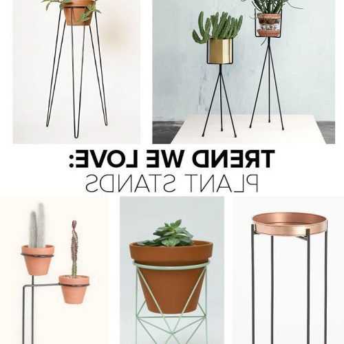 Ring Plant Stands (Photo 2 of 15)