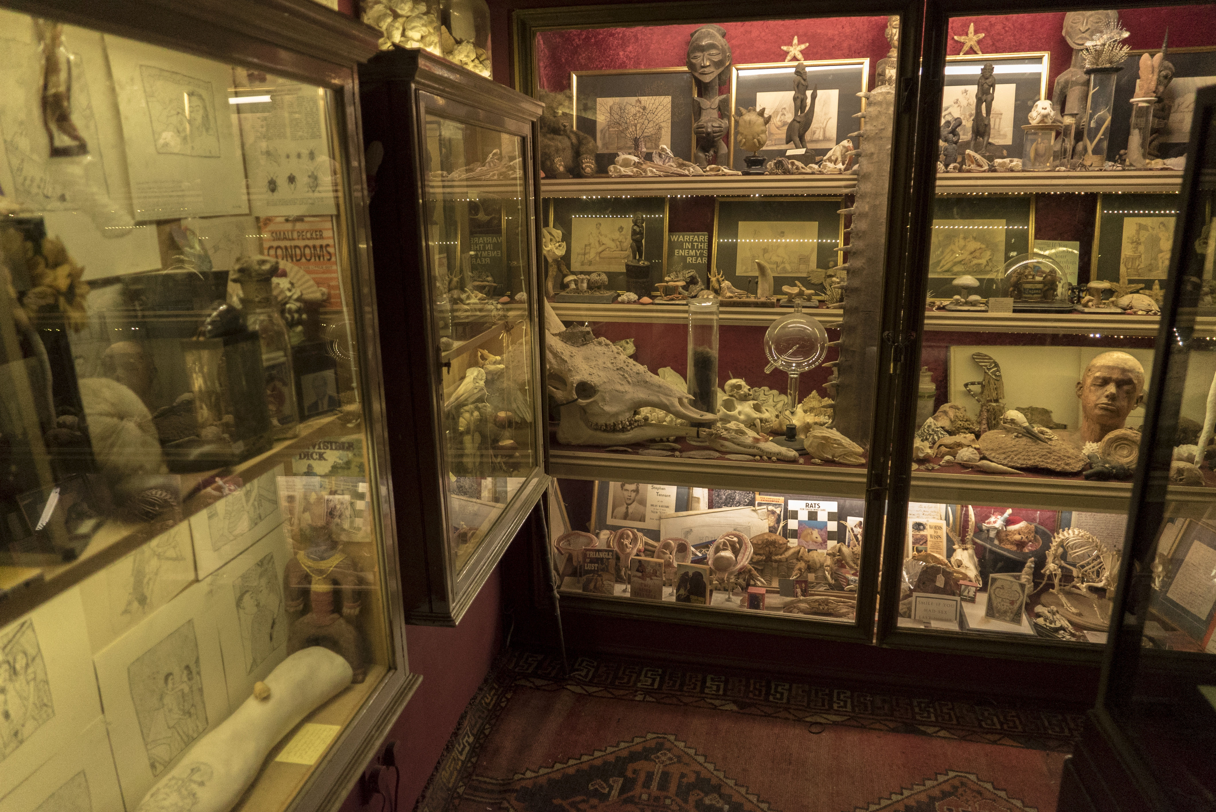 The Viktor Wynd Museum of Curiosities
