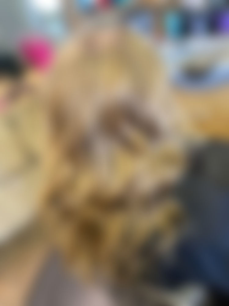 Hair Color