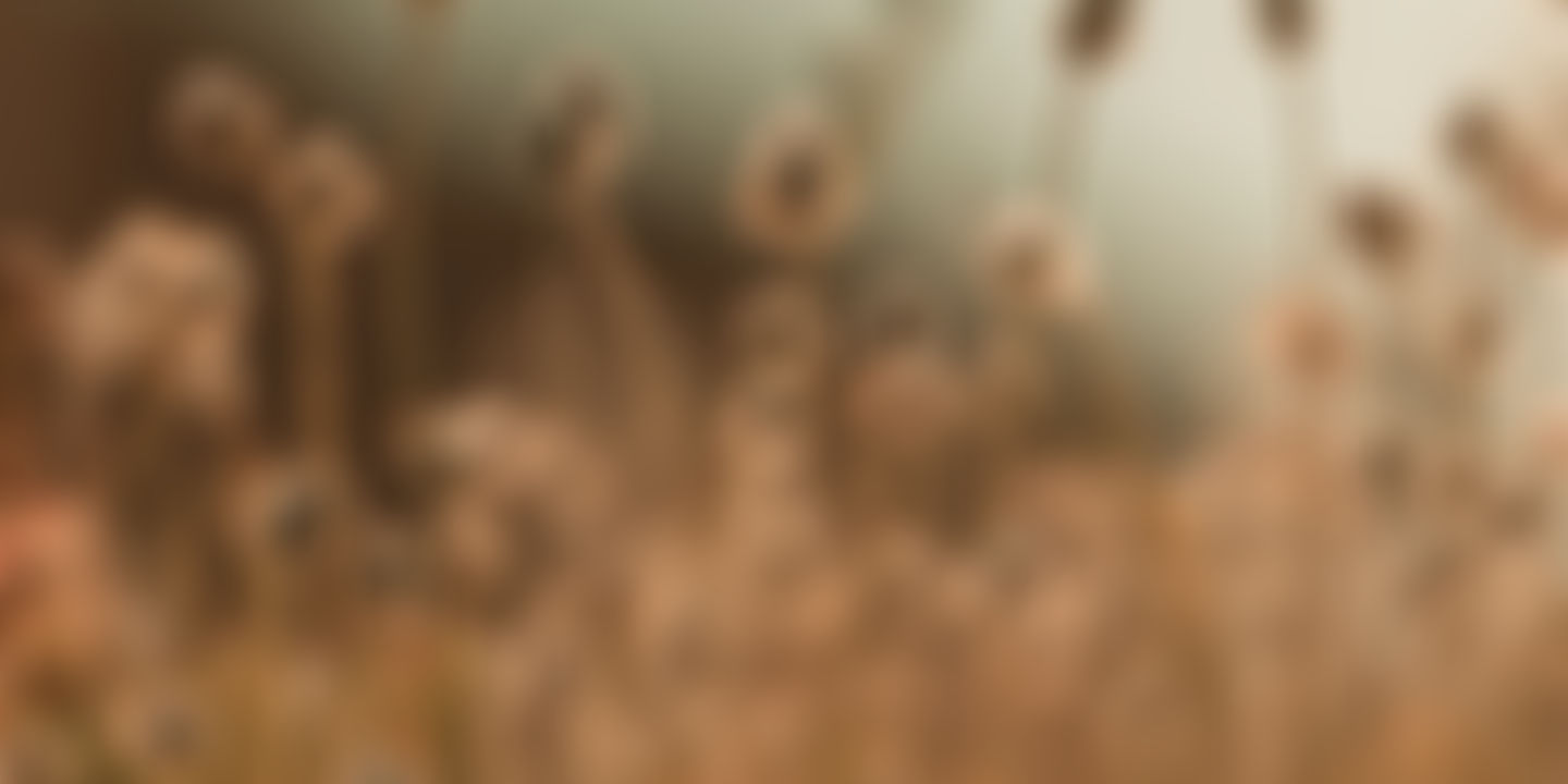 Mabutchineh's CARESS Hero