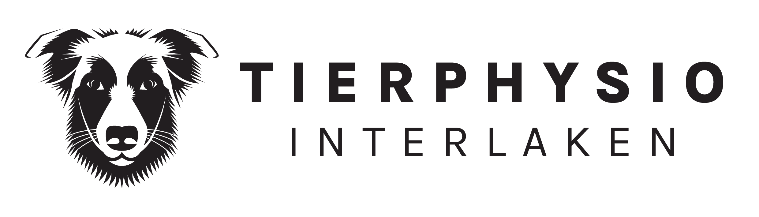 Tierphysio Interlaken