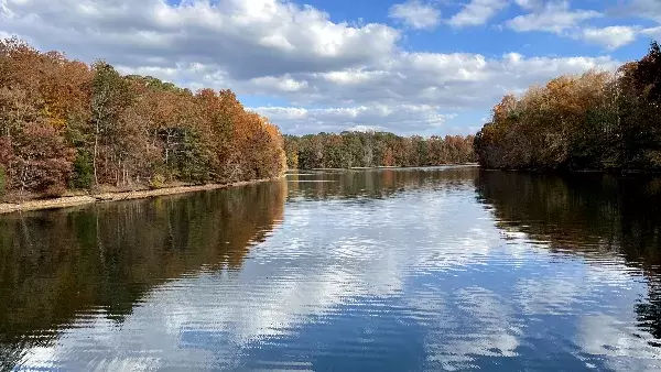 Finding the Tims Ford Lake Location in TN