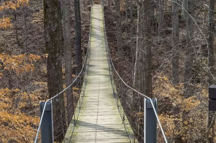 Tims Ford State Park Hiking Trail