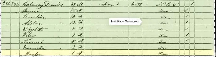 Jack Daniel's early years census