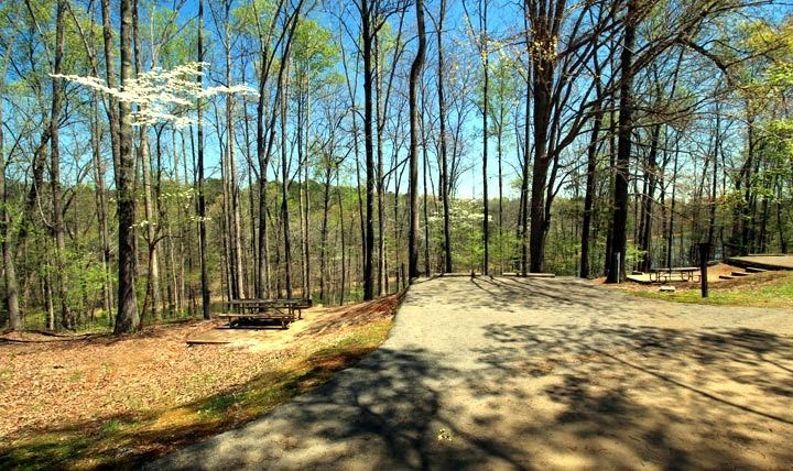 Tims Ford State Park Camping Site