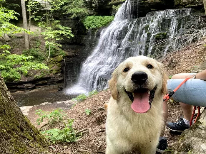 Hiking at Machine Falls in Tullahoma