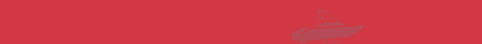 Banner Ad