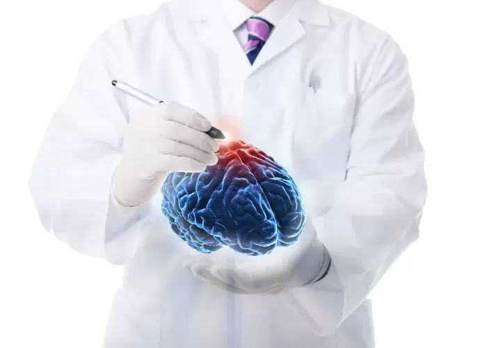 A neurologist in Winchester TN holding a brain