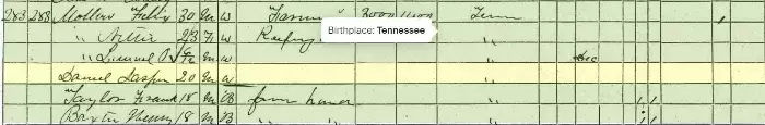 Jack Daniel's DIstillery -- 1870 Census showing living with Lem Motlow