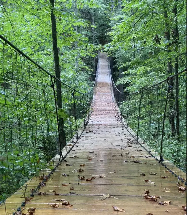 Hanging Bridge at Marble Plains Loop Trail at Tims Ford State Park