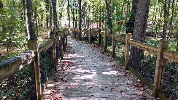 Mountain Goat Trail in Sewanee path