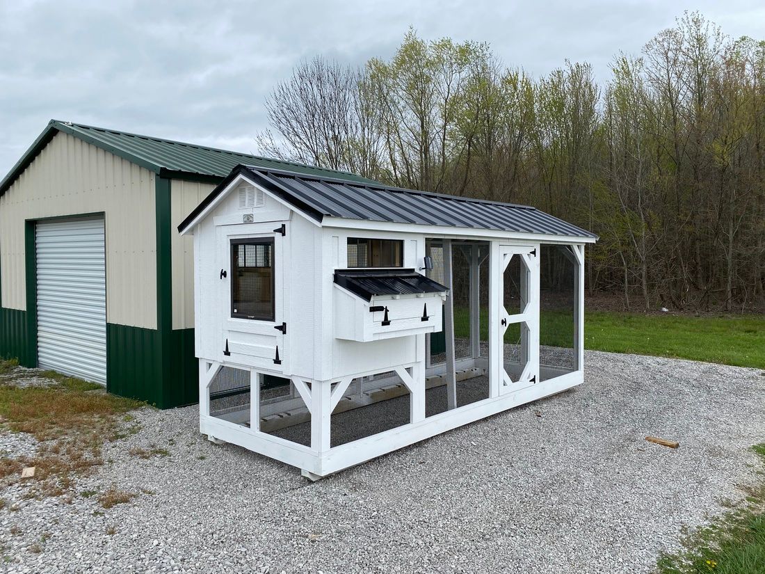 white chicken coop with run attached