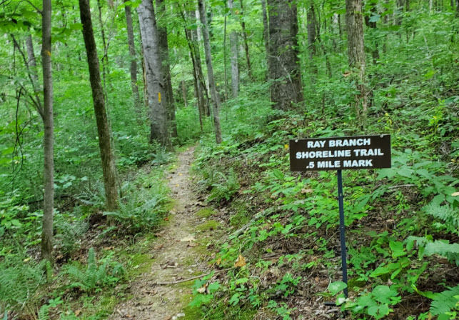 Ray Branch Shoreline Trail - Tims Ford State Park