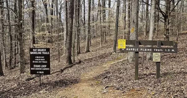 Ray Branch Shoreline Trail - Tims Ford State Park