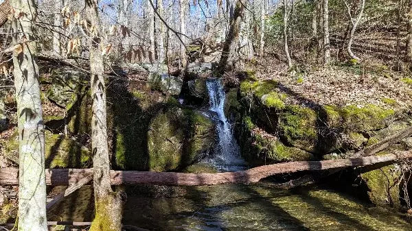 Caldwell Rim Trail in Sewanee waterfall