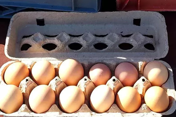 Farmers Market Tullahoma - eggs