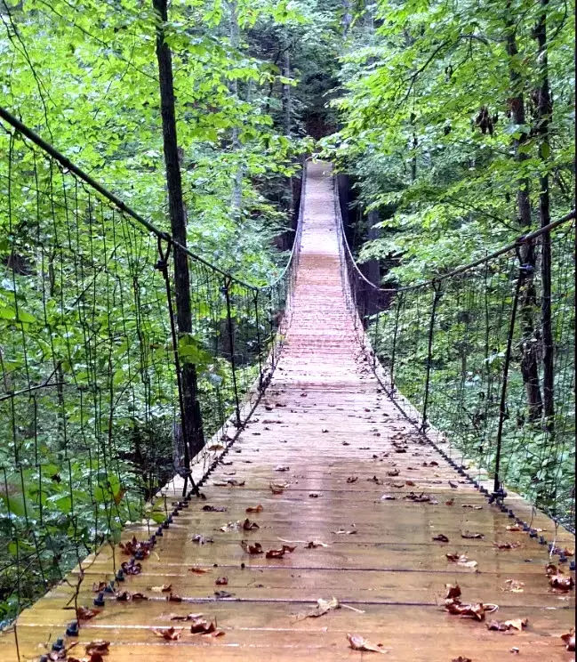 Swinging Bridge 10K & Half Marathon Trail Run at Tims Ford State Park