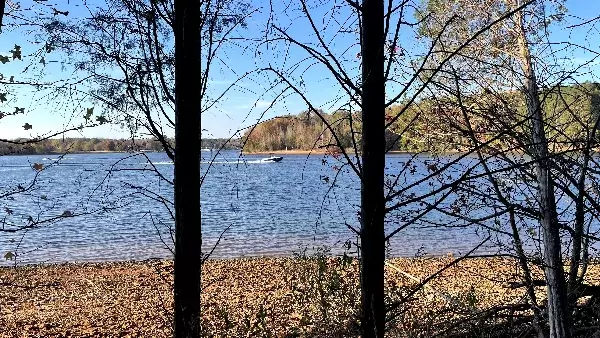 Boiing Fork Trail at Tims Ford State Park by the water