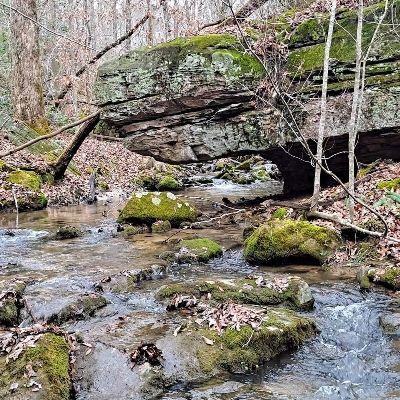 Company Caldwell Rim Trail in Sewanee TN