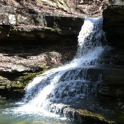 Morgans Falls