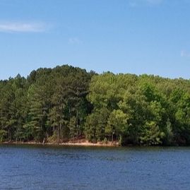 Company Devils Step Boat Ramp in Winchester TN