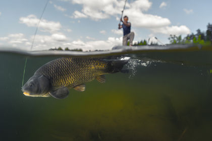 Tims Ford Lake Fishing