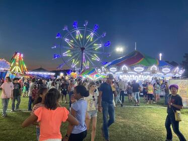 High on the Hog - Amusement Rides