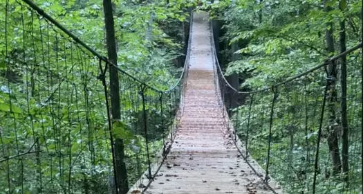 Swinging Bridge 10K & Half Marathon Trail Run