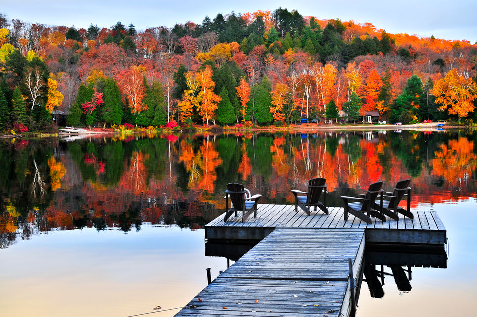 Are there Tims Ford Lake Cabins?