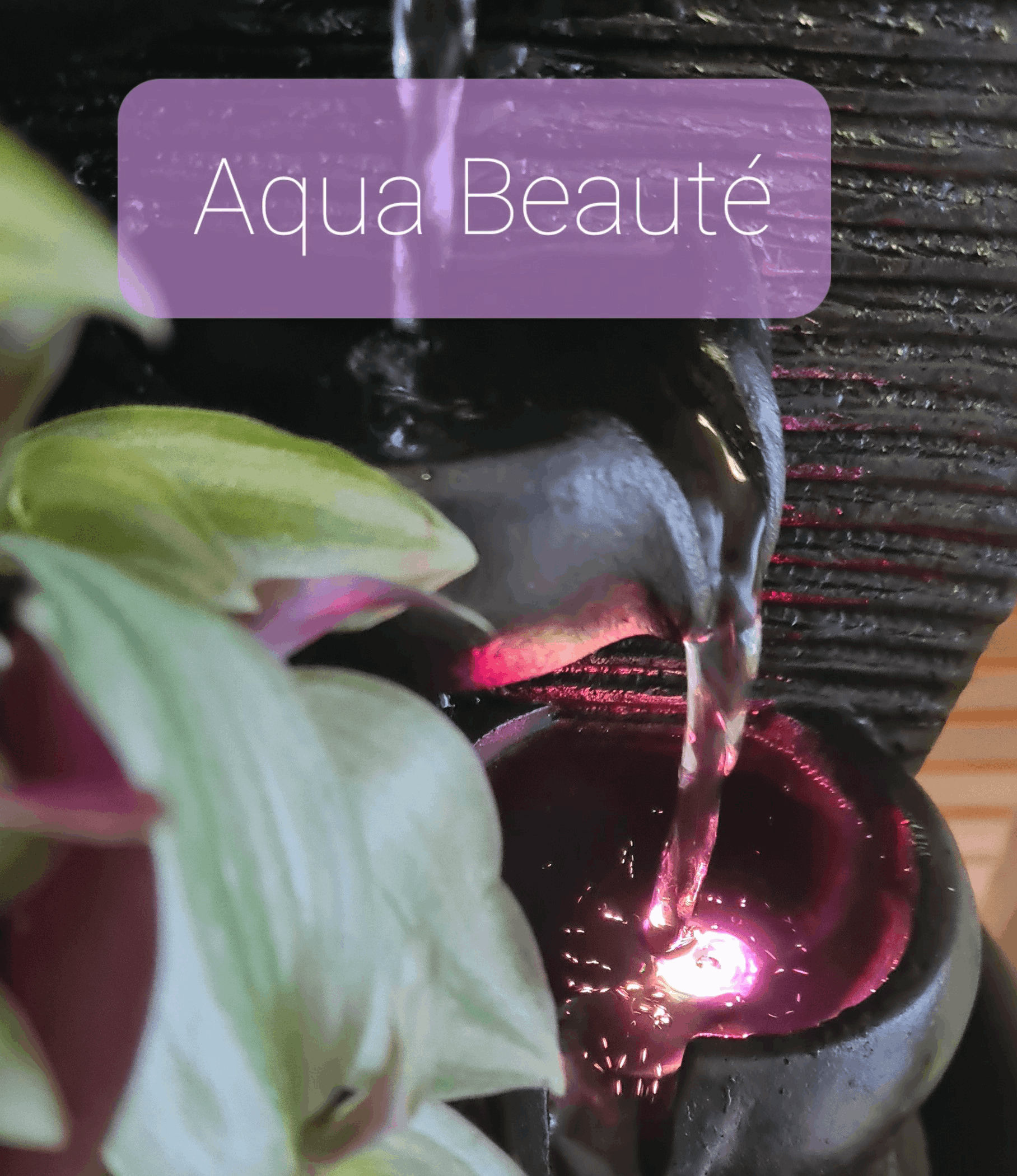 aqua beauté