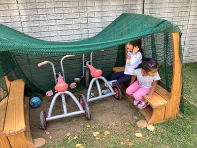 IMG_2181.jpeg