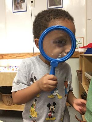 magnifier.jpeg