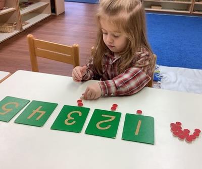 ROmy (2).jpeg