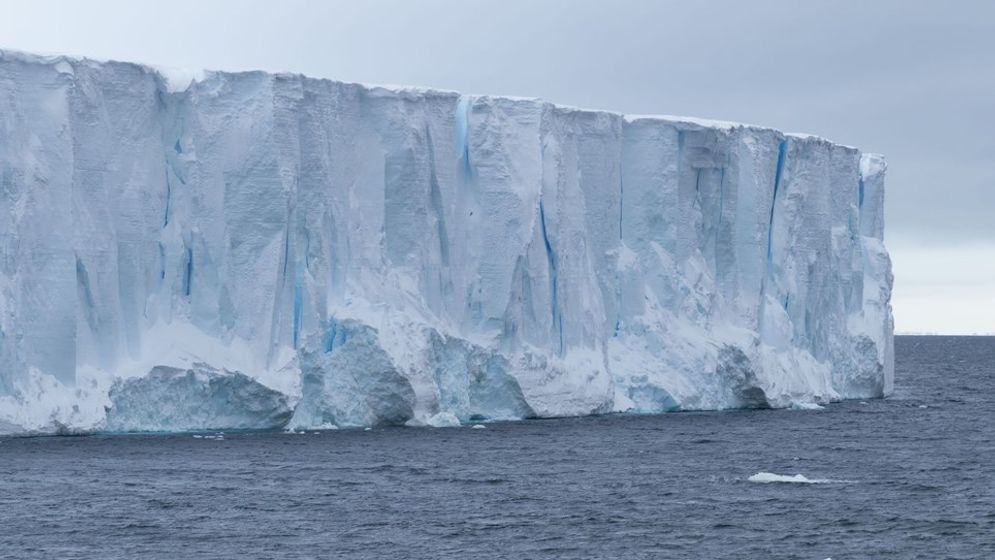 Gunung Es Terbesar Di Dunia Di Jalur Tabrakan Dengan Tempat Perlindungan Penguin Antartika Trenasia