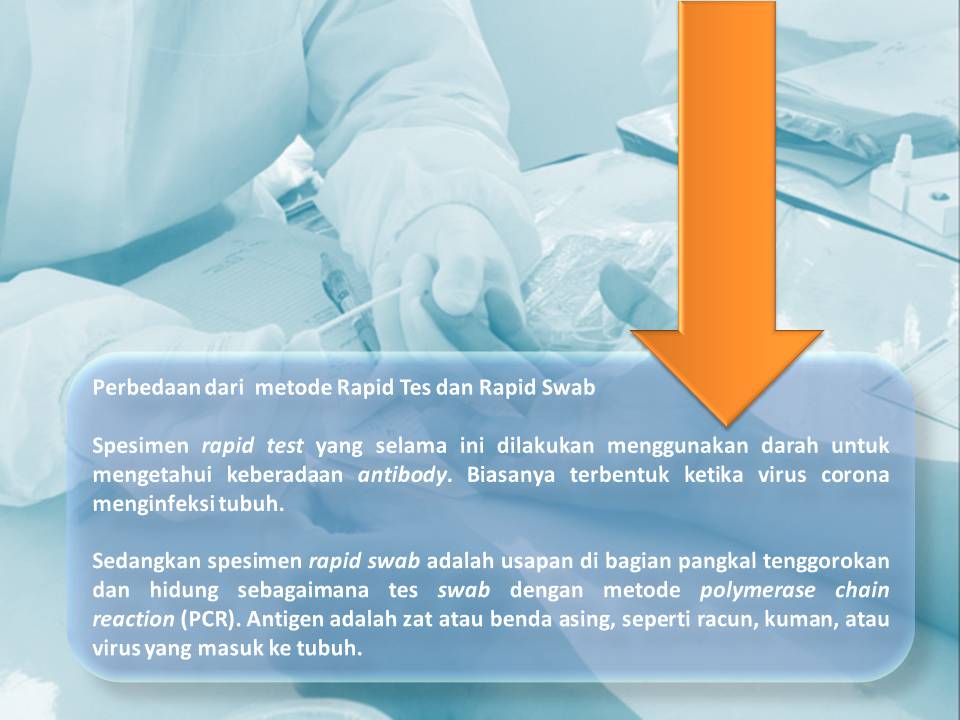 Rapid antibody adalah