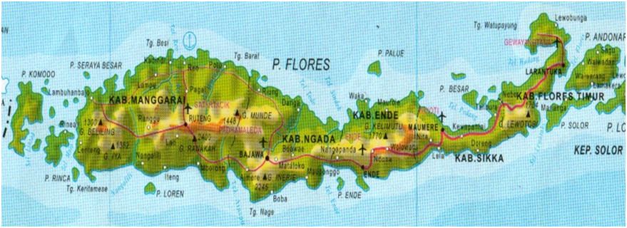 tratamentul varicozelor varicoase ale apiterapiei membrelor inferioare ciorapi i colani de golf de la varicoza