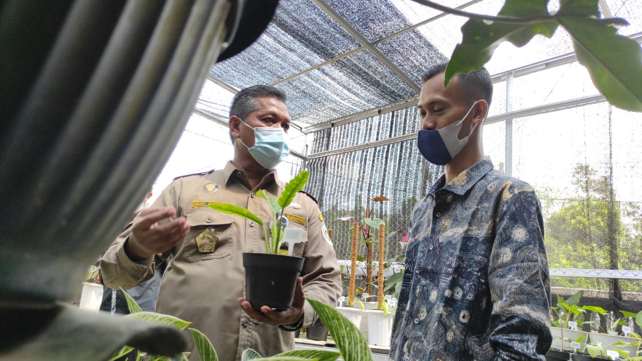 mantap-pengusaha-tanaman-hias-dilatih-tembus-pasar-internasional