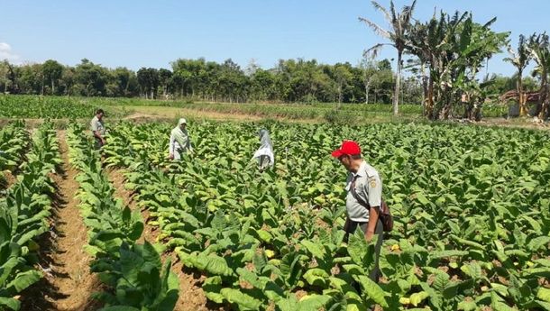 Ahli Kebijakan Publik: Revisi PP 109/2012 Tidak Memenuhi Prinsip Good Governance