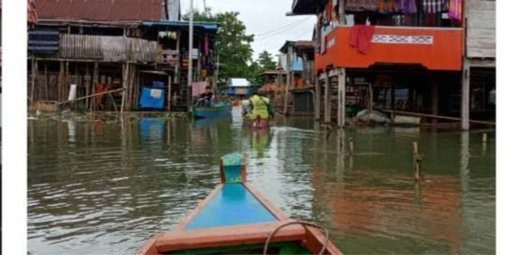 Deforestasi Picu Banjir Bandang Perlakukan Wilayah Das Sesuai Fungsinya Jogjaaja Com