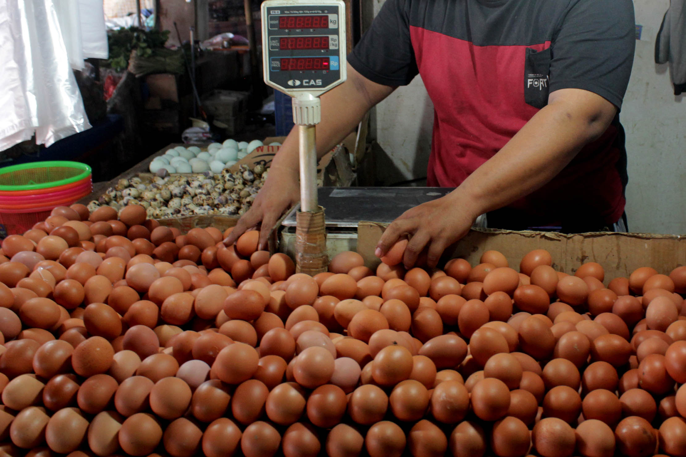 Kenapa Harga Telur Naik? Ini Kata Pakar IPB