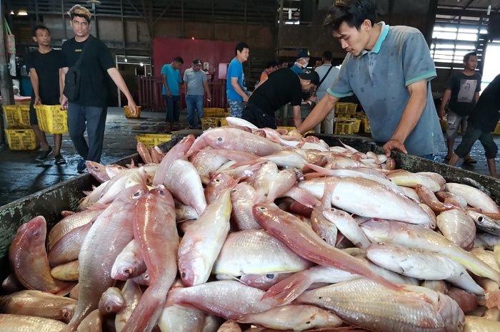 Kkp Terapkan Penangkapan Ikan Terukur Wujudkan Ekonomi Biru Balinesiaid 8981