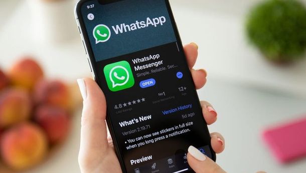 Wah! Ternyata Whatsapp Bisa Dipakai Tanpa Jaringan