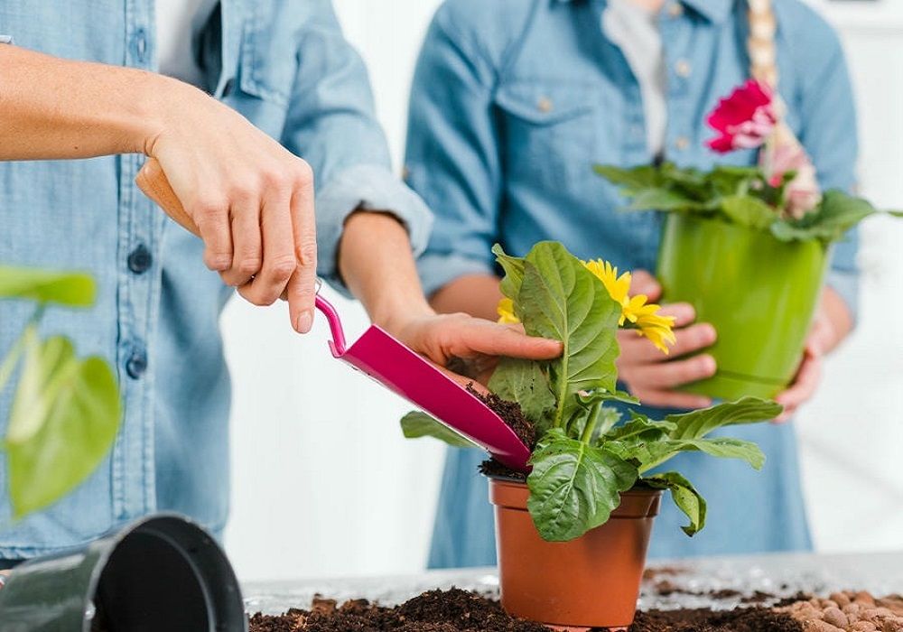 home gardening