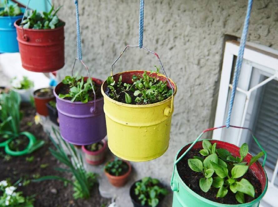 container gardening ideas for small spaces