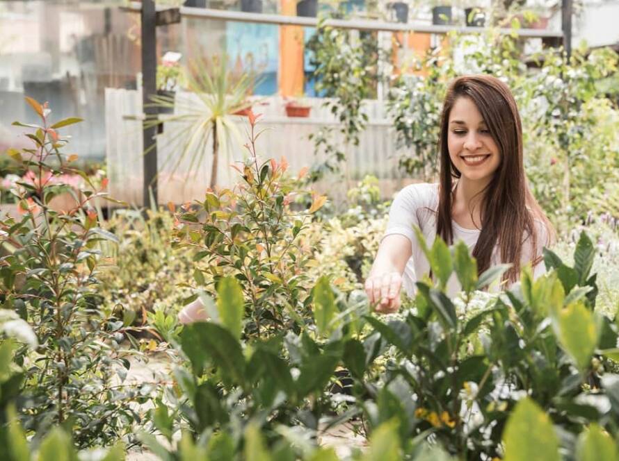 terrace vegetable garden ideas in india