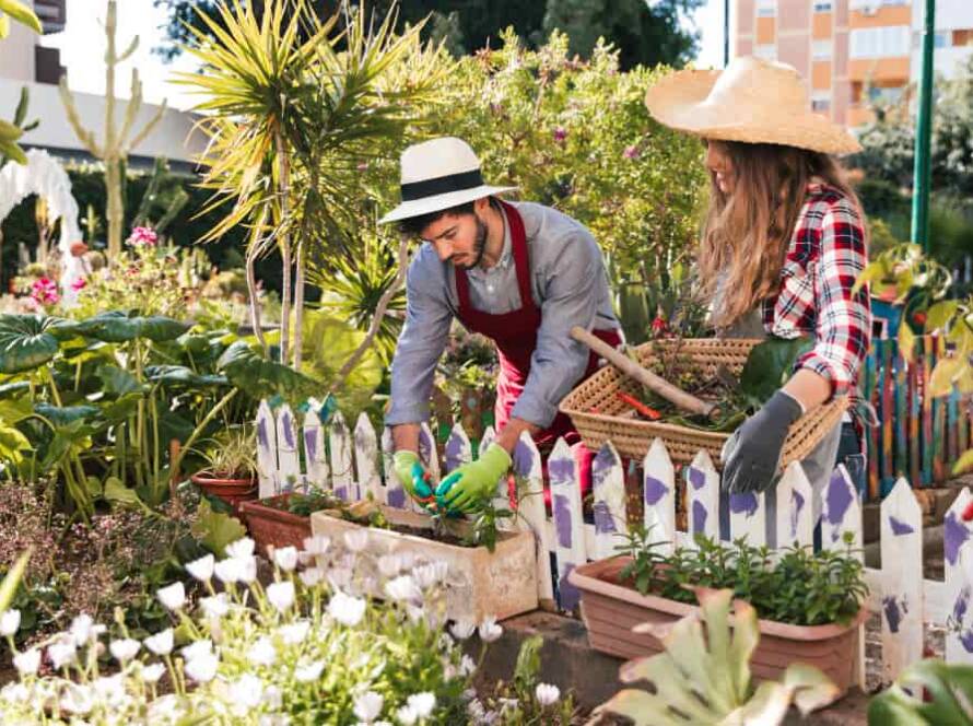 terrace vegetable garden ideas in india