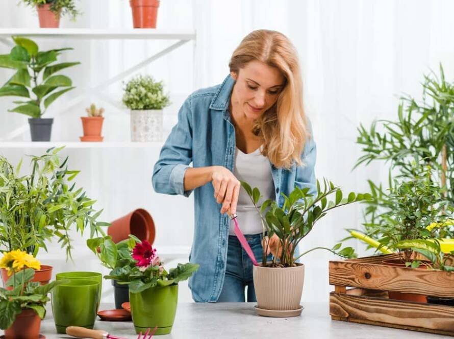 gardening for beginners in india