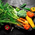 10 Fastest Growing Vegetables at Home in India Every Beginner Can Grow