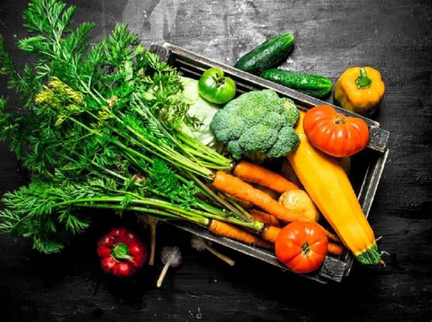 fastest growing vegetables at home in india