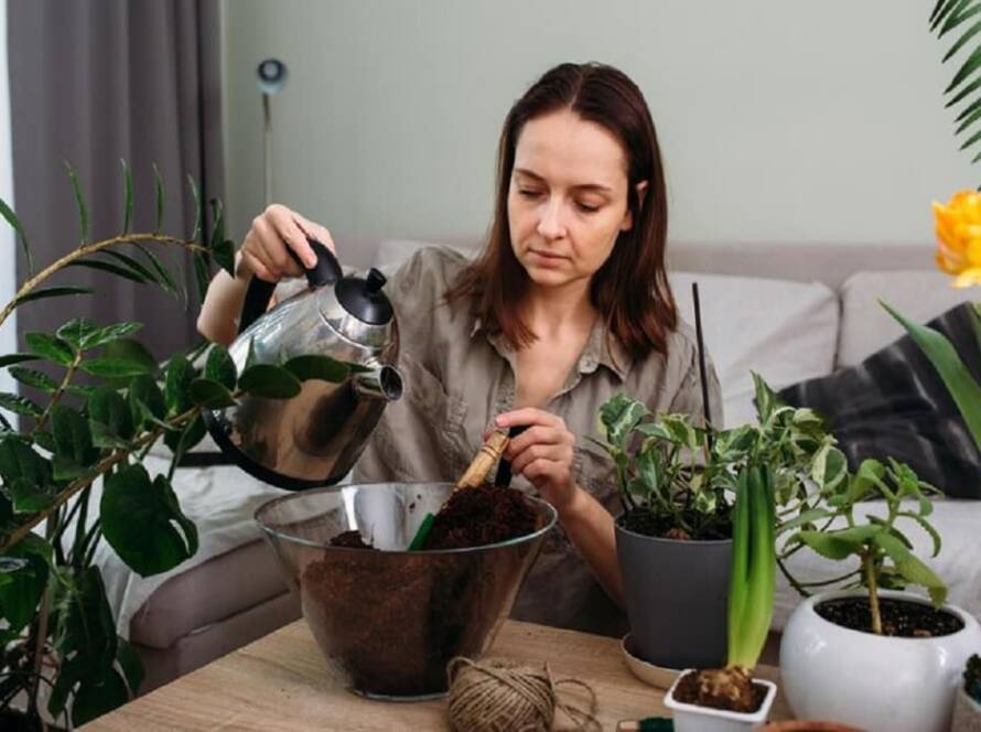 gardening tips on youtube